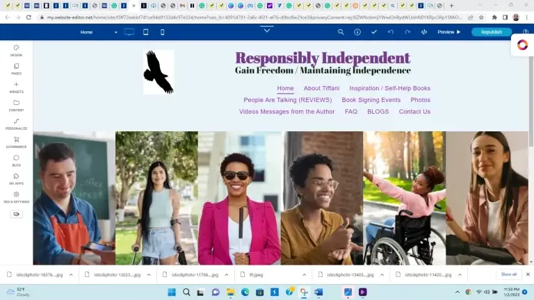 Website design