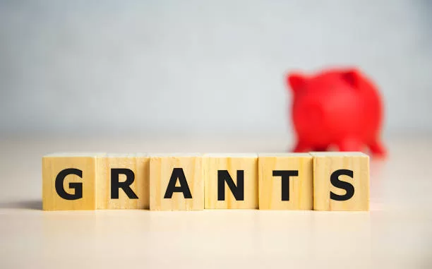 the word of GRANTS on building blocks concept.